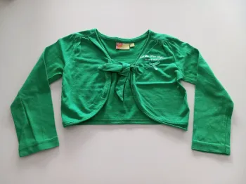 Boléro vert
