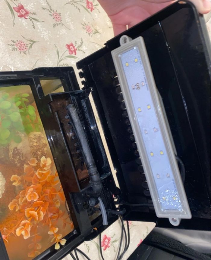 Aquarium nobleza - photo numéro 3