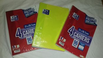 Lot Cahiers Oxford 10€