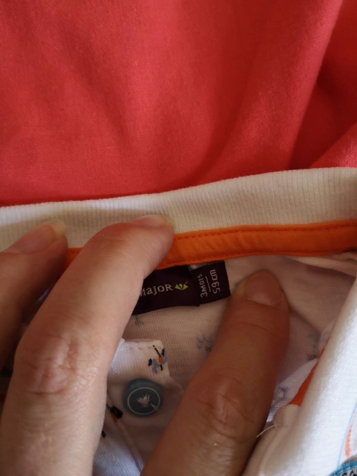 Polo - photo numéro 3