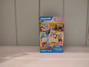 Playmobil 71497 thérapeute et cheval