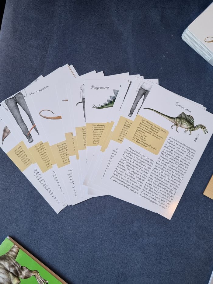 Coffret montessori dinosaures - photo numéro 7