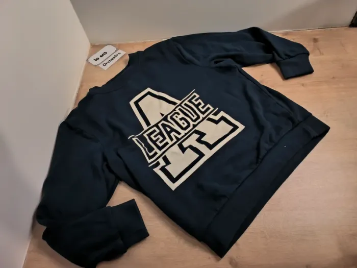 Lot 2 pulls Orchestra 10 ans - photo numéro 2