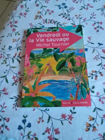 Livre de poche
