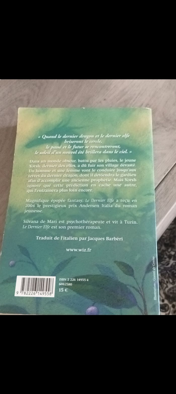 Le dernier Elfe - photo numéro 4