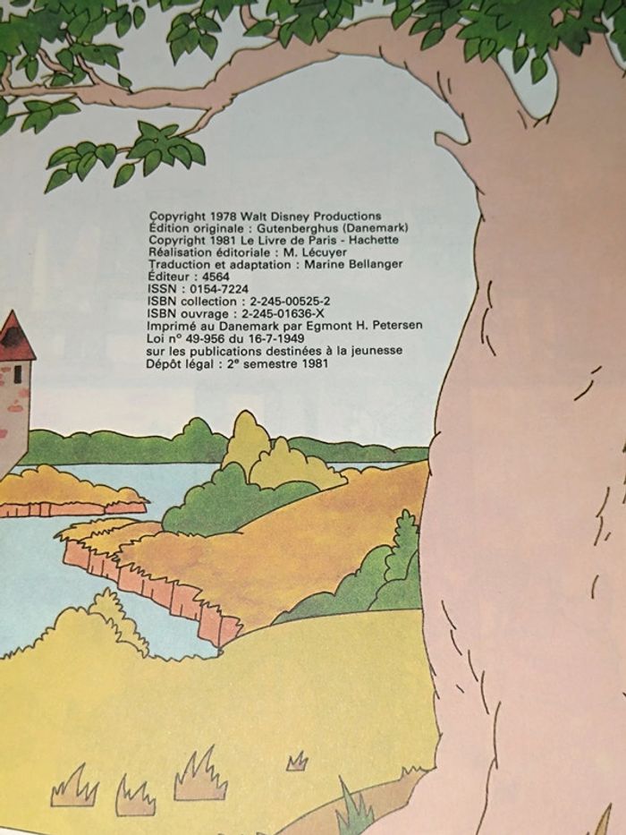 Livre Walt Disney-Robin des Bois🤎mickey Club - photo numéro 2