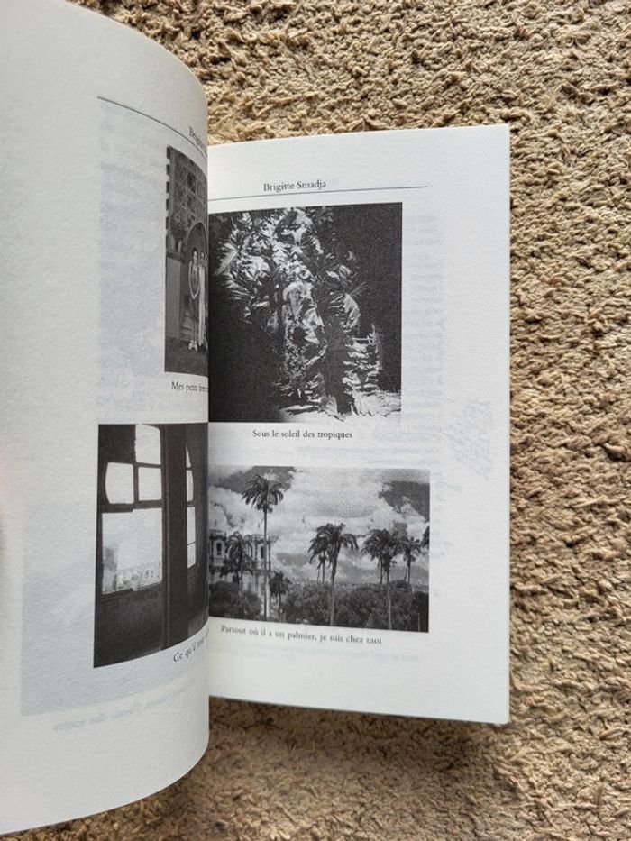 Lot 2 livres Mon écrivain préféré – Marie Desplechin & Brigitte Smadja – École des Loisirs - photo numéro 13