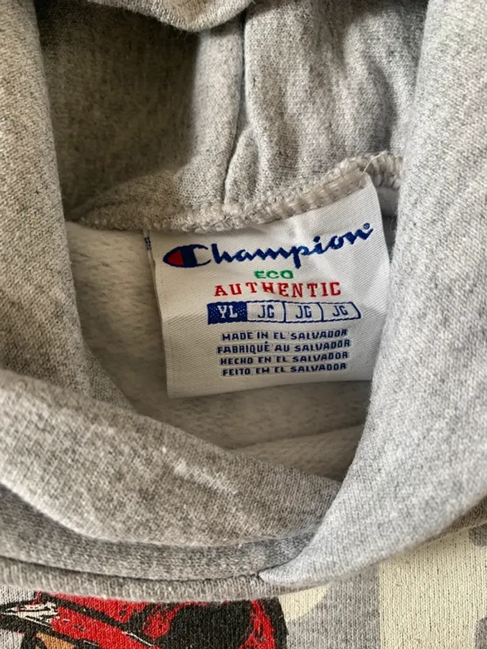 Sweat à capuche Champion Gris - Thème Baseball « Phi Bryce » - photo numéro 3