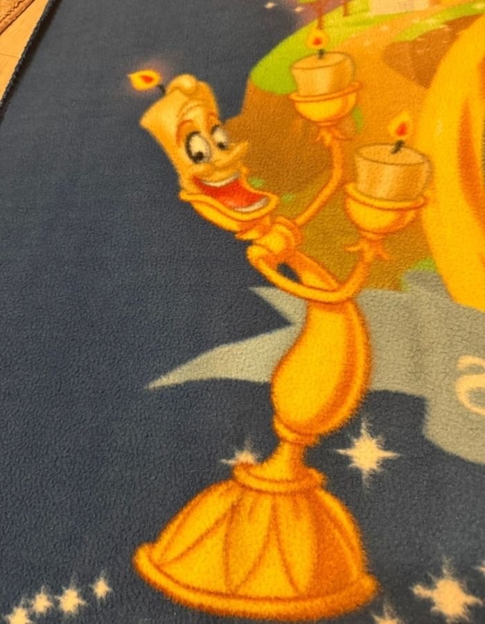 Plaid rare disney 15 ans - photo numéro 6