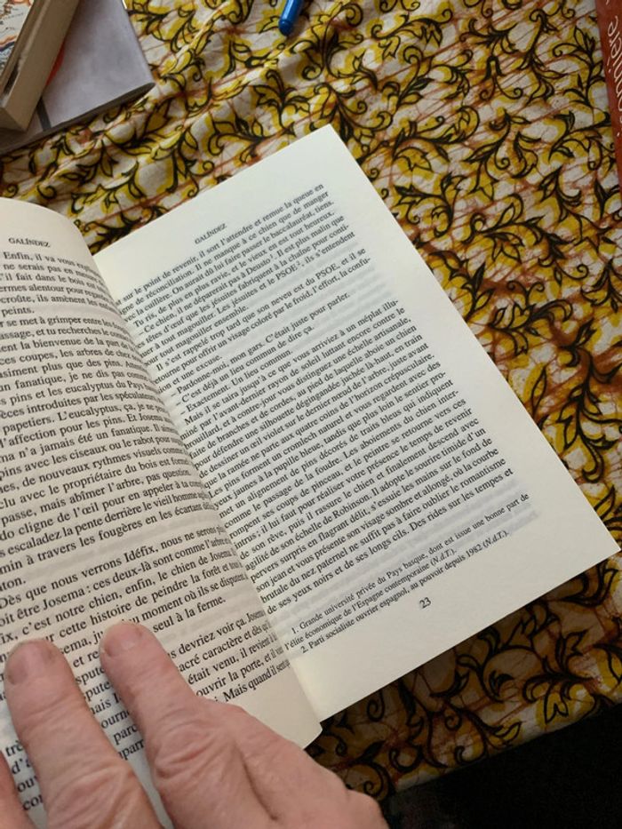 Galindez - photo numéro 5