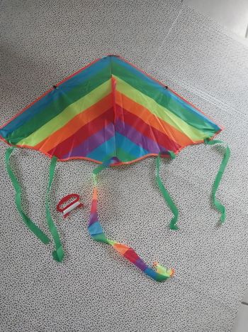 Cerf-volant arc-en-ciel