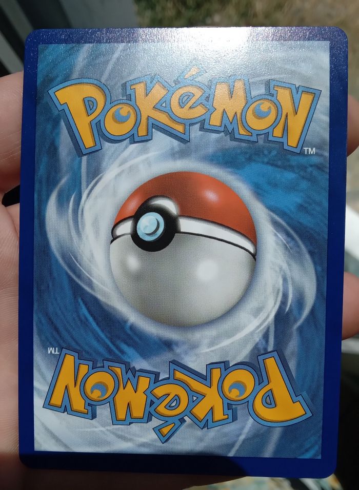 Dresseur Peterson - photo numéro 2