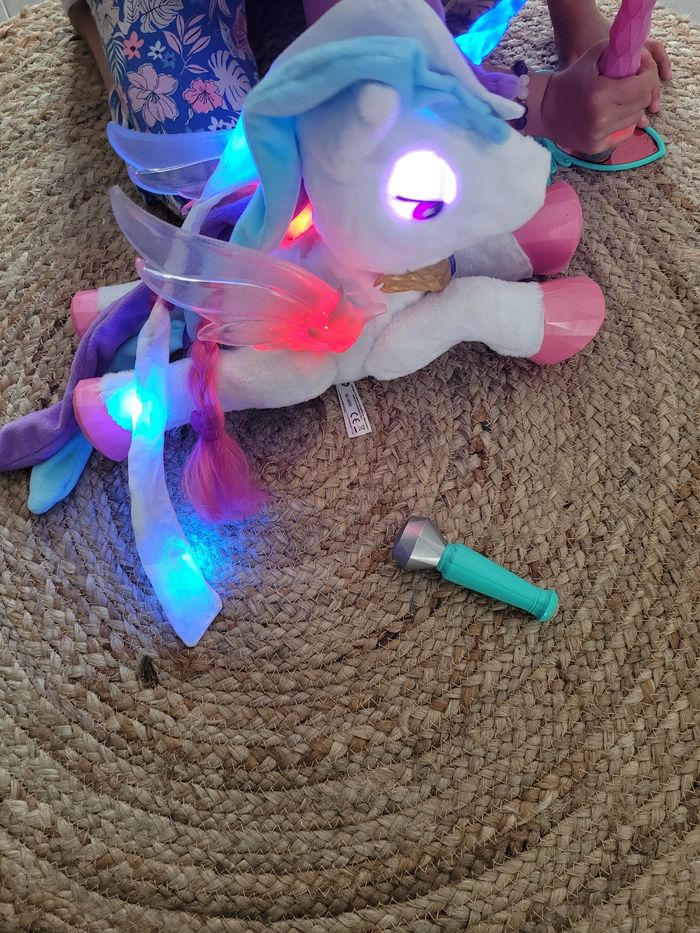 Licorne magique - photo numéro 4