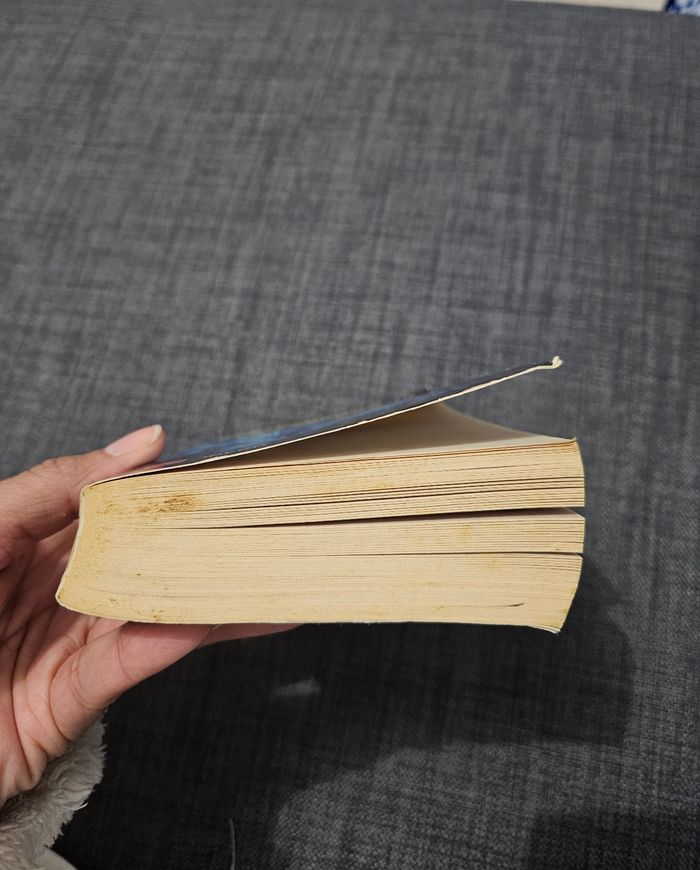 Peter Robinson: Tome 7 "Un goût de brouillard et de cendres" - photo numéro 5