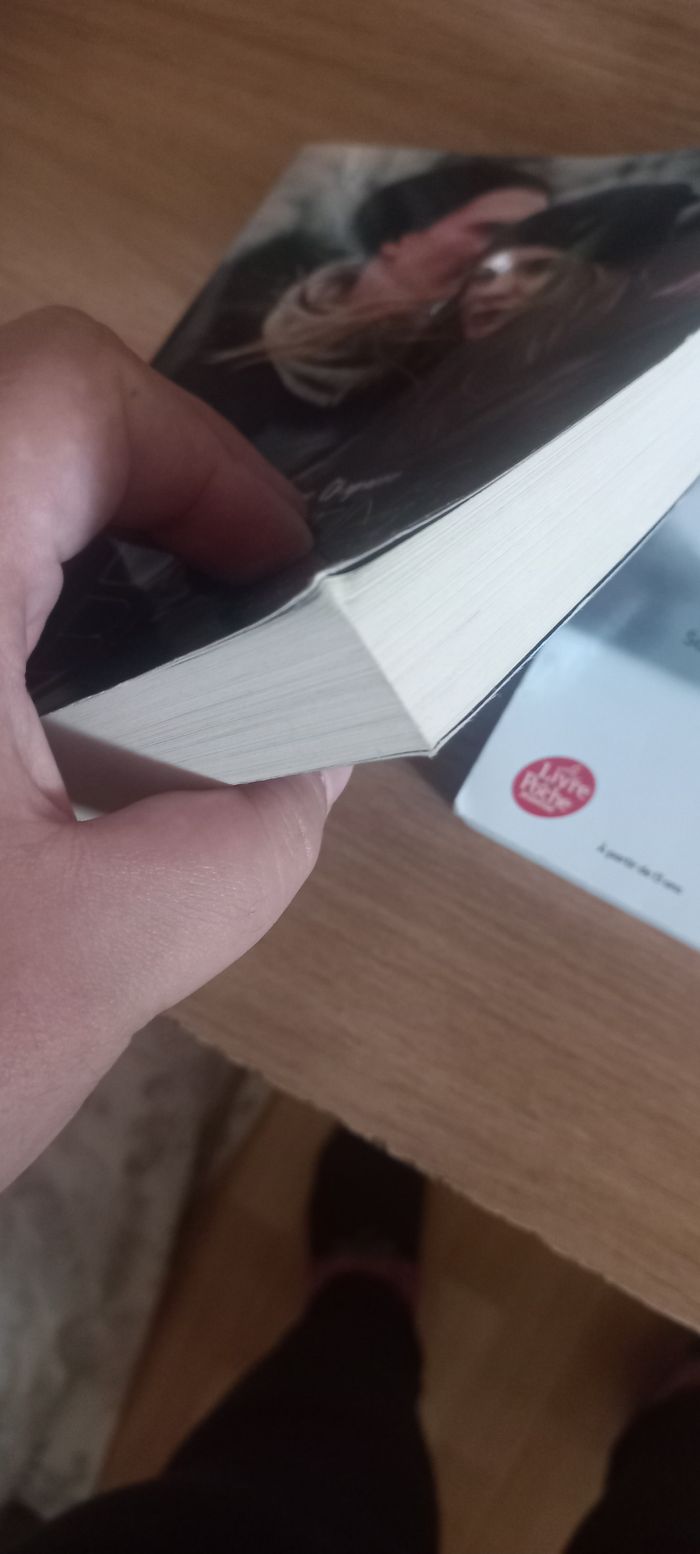 Lot de 2 livres : Destins brisés - photo numéro 3