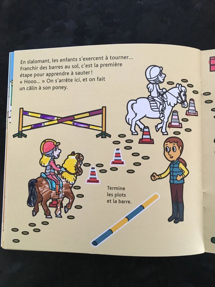 Coloriage Poney-club mes docs Milan - photo numéro 4