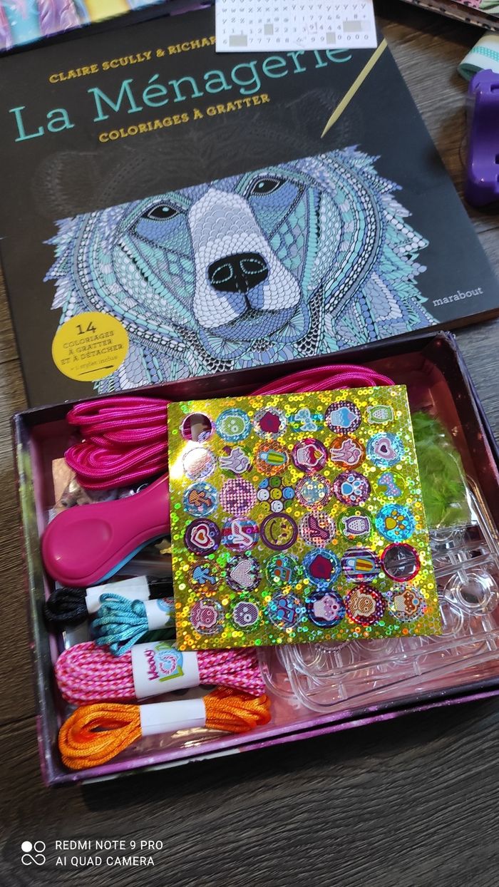 Lot coloriages/loisirs créatifs - photo numéro 2