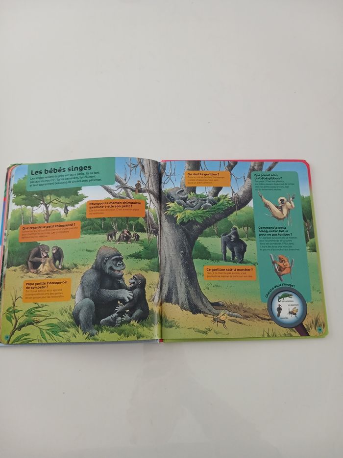 Livre Nathan - Questions/Réponses : Les bébés animaux - photo numéro 8