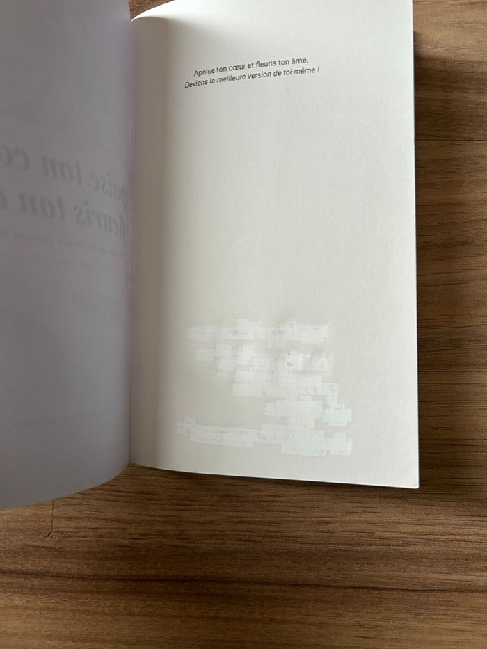 Livre de Lilya BF «Apaise ton cœur et fleuris ton âme» - photo numéro 7