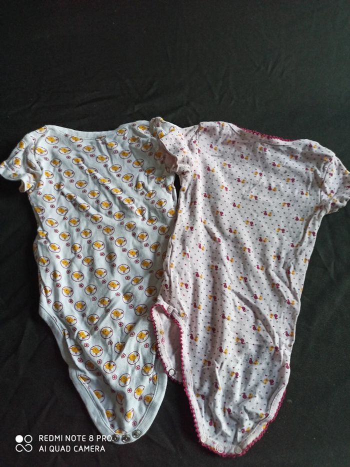 Lot de 2 bodys "poussins" - photo numéro 5
