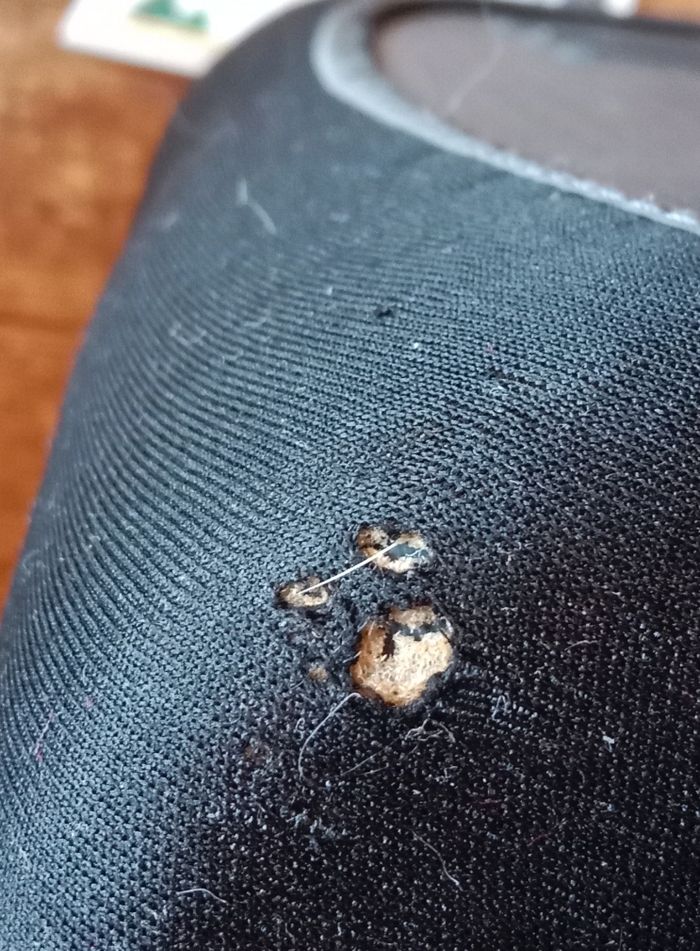 Rehausseur car's - photo numéro 3