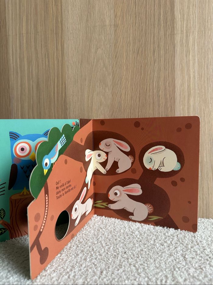 Livre le lapin - photo numéro 2