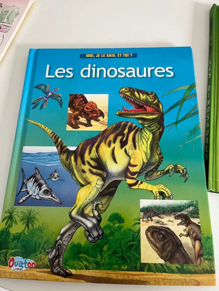 Lot de 3 livres dinosaures - photo numéro 4
