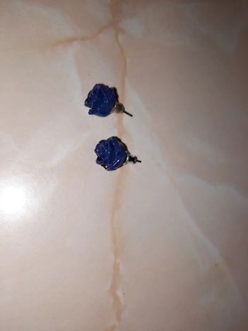 Boucles d'oreilles roses bleues