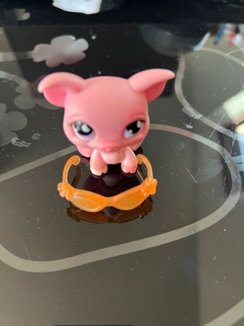 Petshop