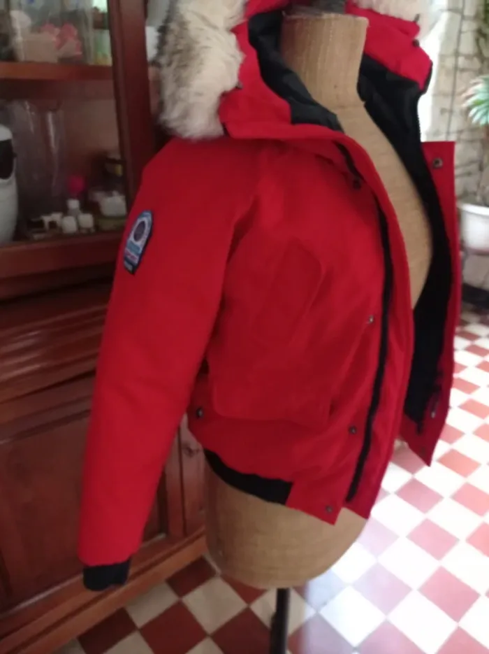 Manteau - photo numéro 3