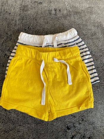 Lot 2 shorts