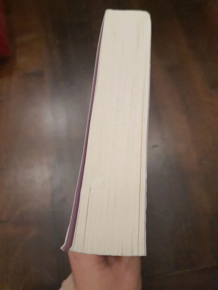 Boek Verboden terrein Rachel Gibson - photo numéro 4