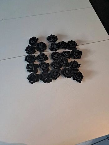 Roses