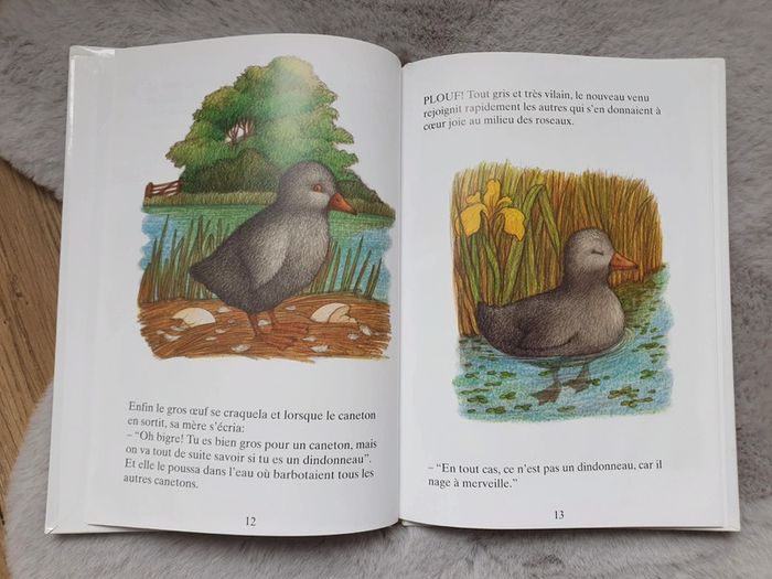 Livre Le Vilain petit canard - photo numéro 4