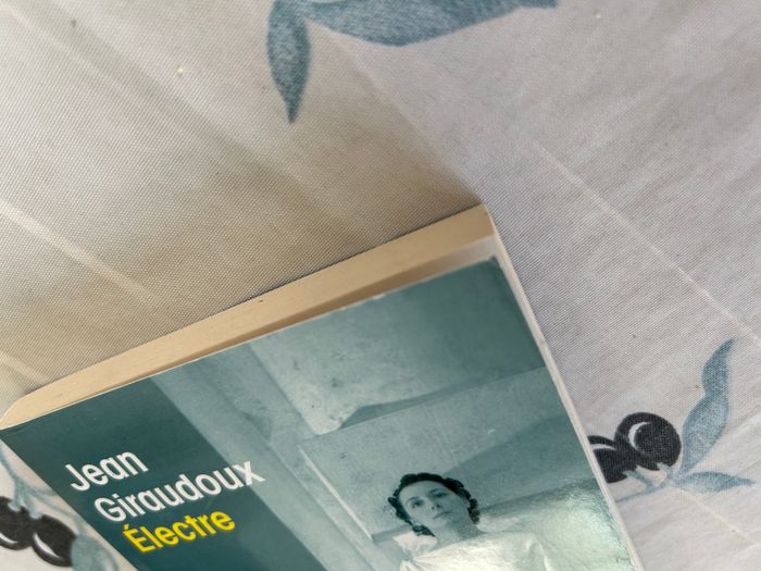 Electre - photo numéro 5