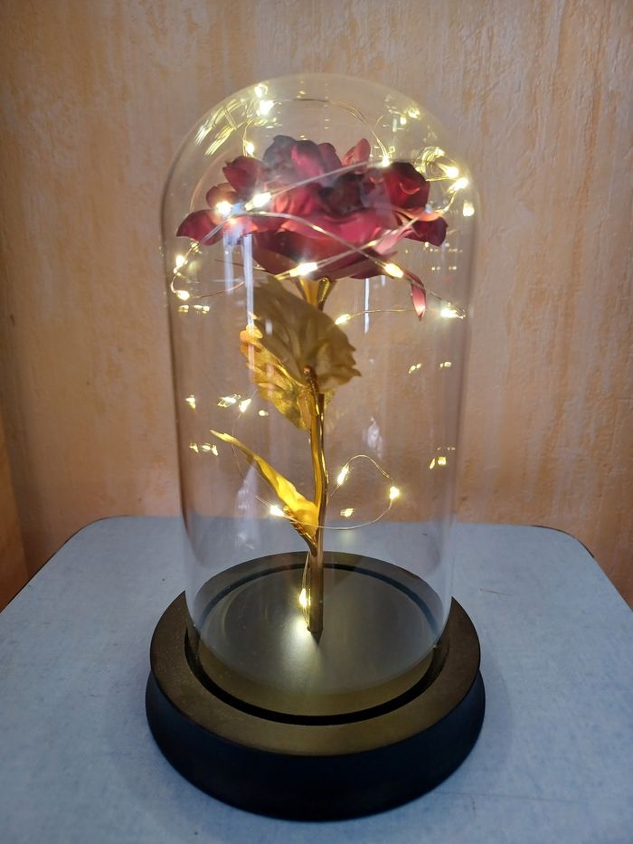 Rose sous cloche Gifi - photo numéro 2