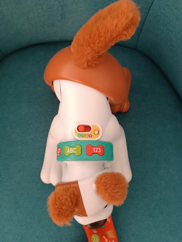 Mon chiot rampe avec moi - photo numéro 6