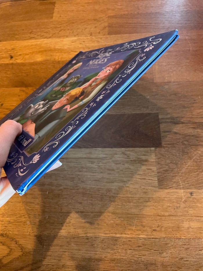 Livre La reine des neiges Magie des aurores boréales Un brave petit troll - photo numéro 4