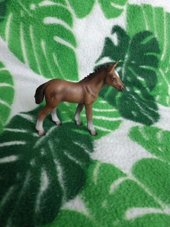 Poulain schleich