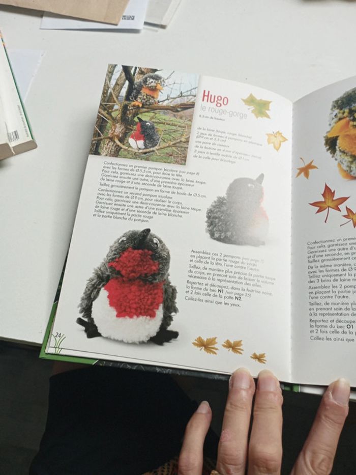 Livre pompons - photo numéro 6