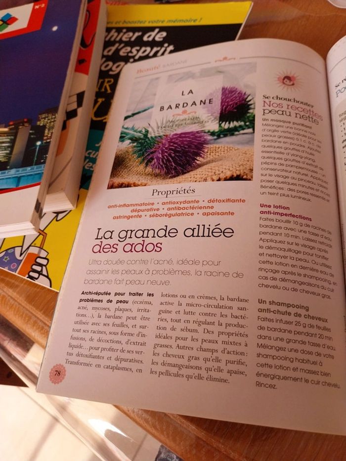 Le pouvoir magique des plantes - photo numéro 3