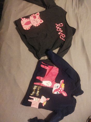 Lot de 2 pull 18 mois