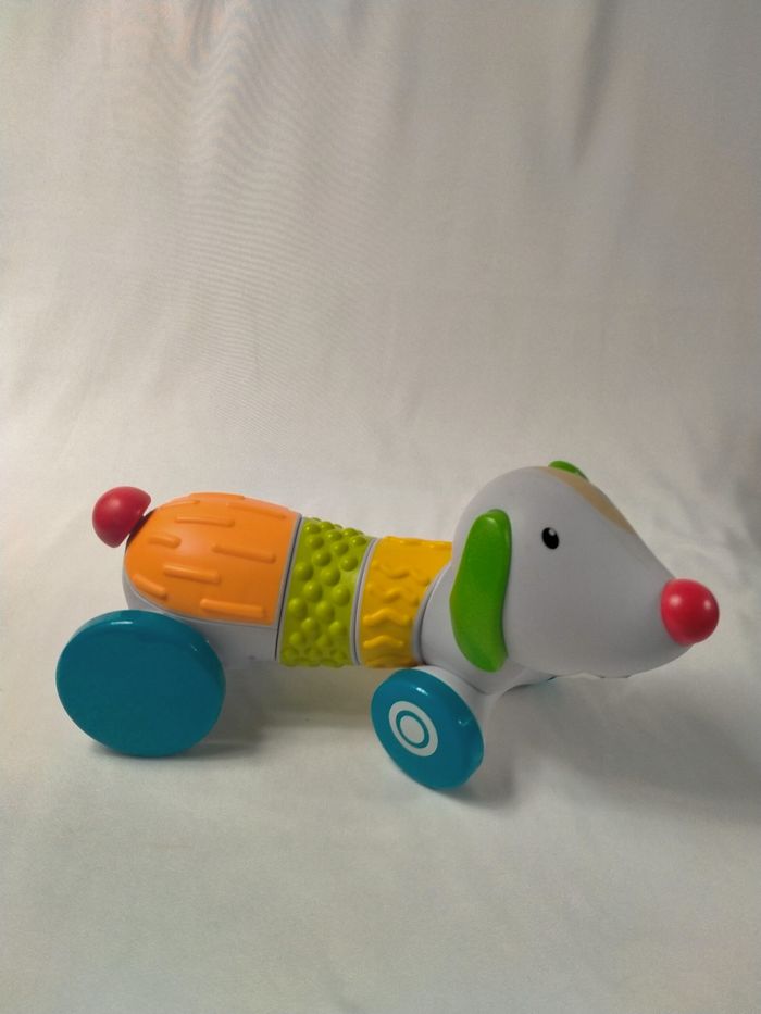 Chien sensoriel bkids