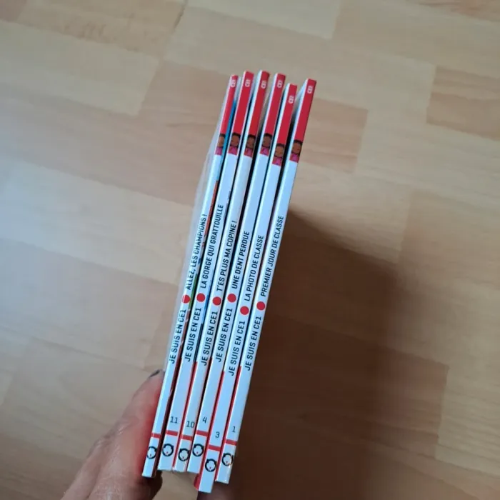 Livre lecture CE1 #flammarion - photo numéro 8