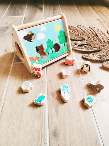 🐧Pyramide triangle boîte à formes/animaux à encastrer en bois marque Vertbaudet