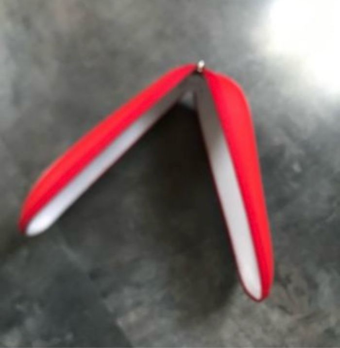 Bel étui à lunettes rouge Puma - photo numéro 6