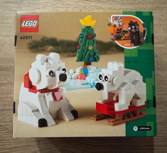 LEGO 40571 : Les ours blancs en hiver - photo numéro 3