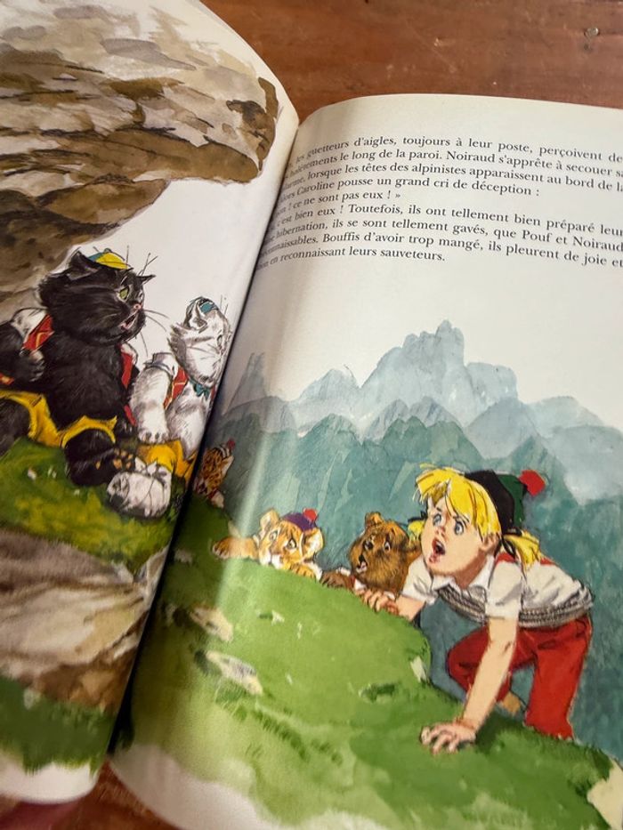 Moyen 1 - Livre édition limitée reliure rouge Caroline dans les Alpages Pierre Probst bd - photo numéro 17