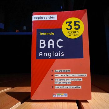 Livre Bac Anglais