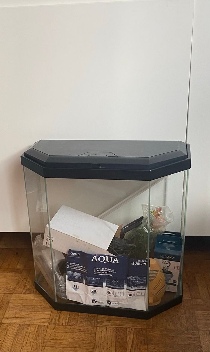 Aquarium poissons ou autres - photo numéro 5